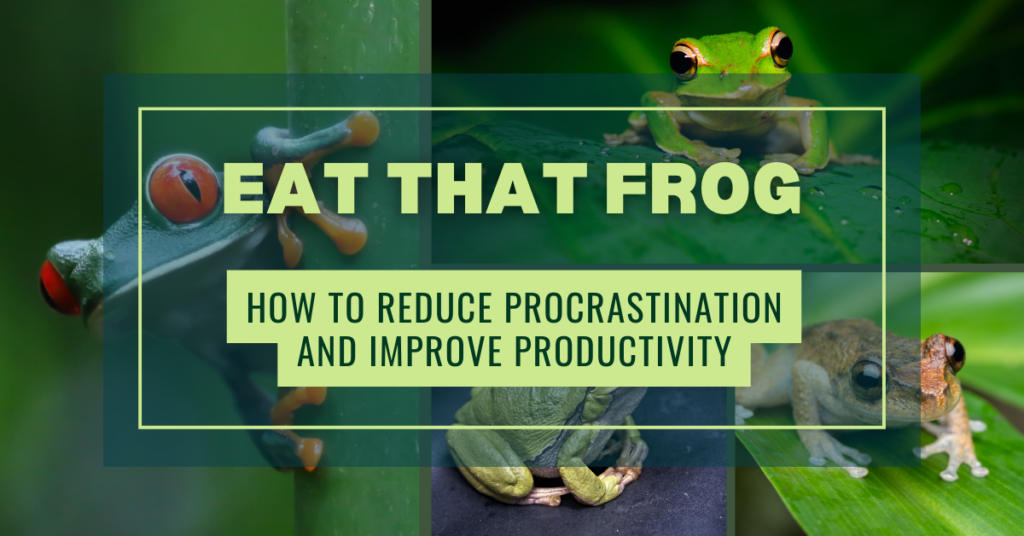 "Eat That Frog" by prioritizing tasks and tackling the biggest ones first.