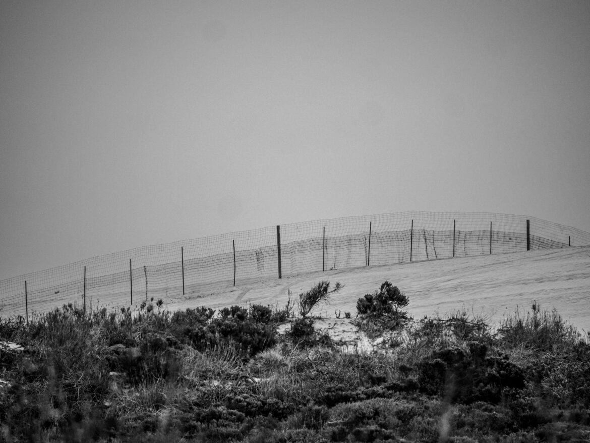ronan-furuta-zp7-DaazFRU-unsplash fence