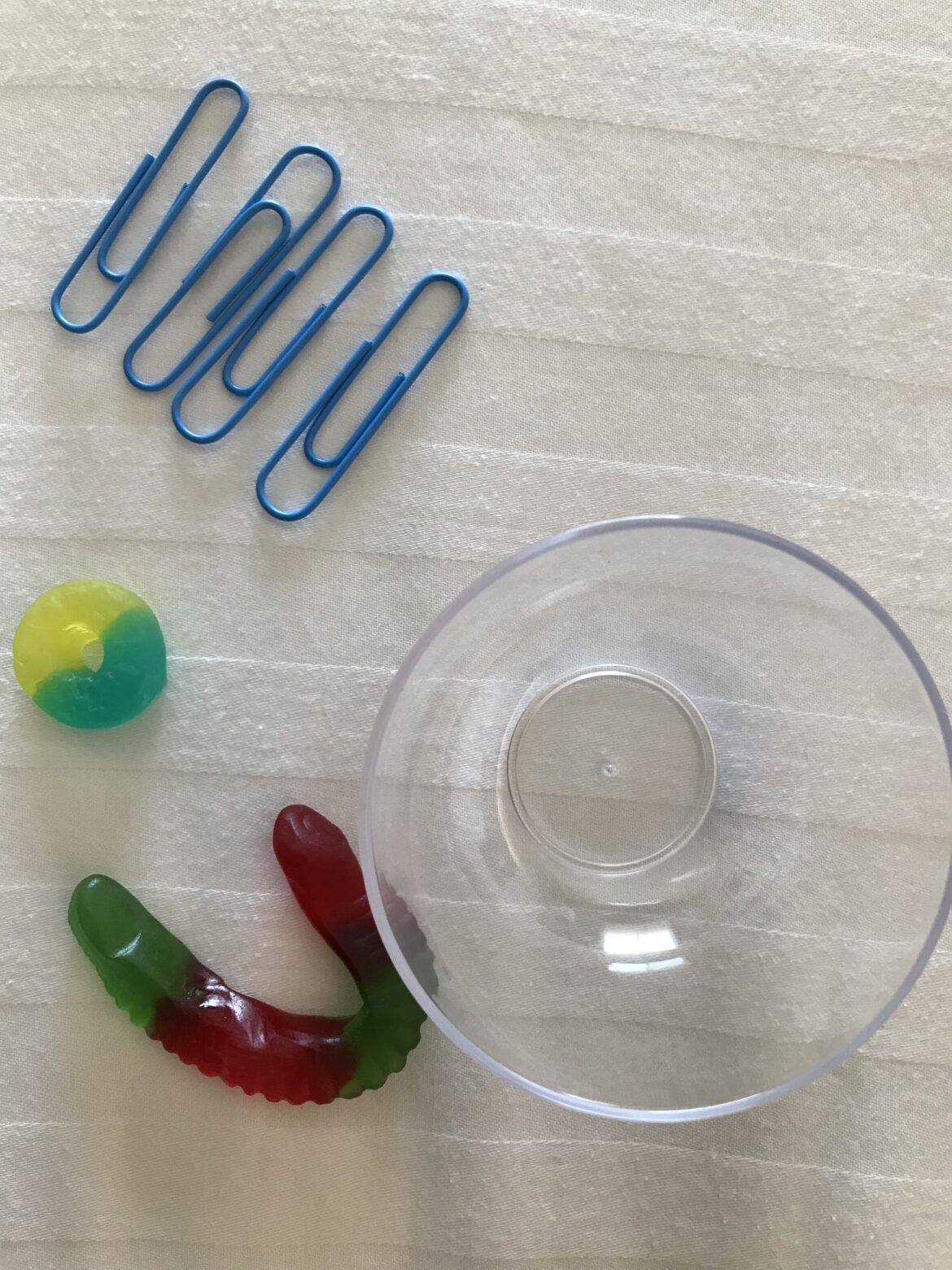 Save Fred Equipment Save Fred equipment: 4 paper clips, 1 clear small bowl, 1 gummy worm and 1 gummy lifesaver.