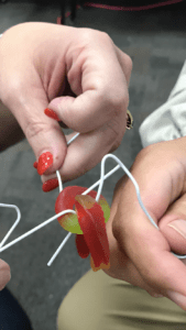 Two hands with paper clips holding the gummy worm, Fred. 