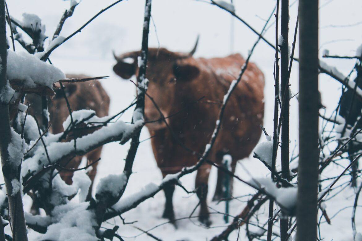 siora-photography-j0q8KIFJ6P0-unsplash ed tech news