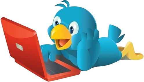 twitter-bird-looking-at-laptop