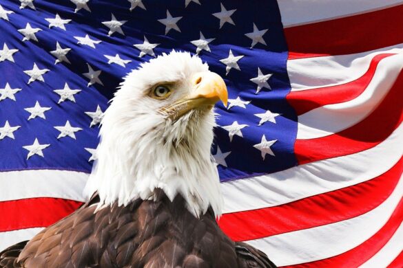 Celebrate National American Eagle Day • TechNotes Blog