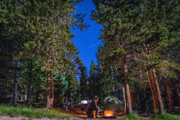 national forests