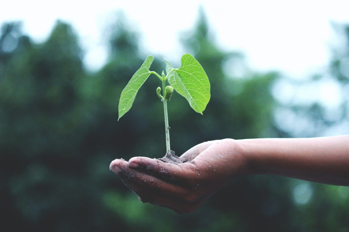 pexels-akil-mazumder-1072824 earth day