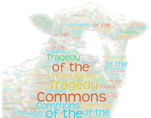 Word Art generated sheep with words, "Tragedy of the Unregulated Commons"