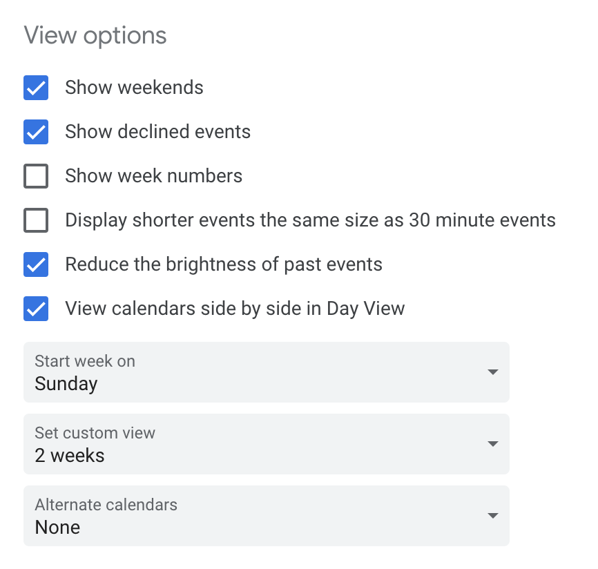 View Options for Google Calendar
