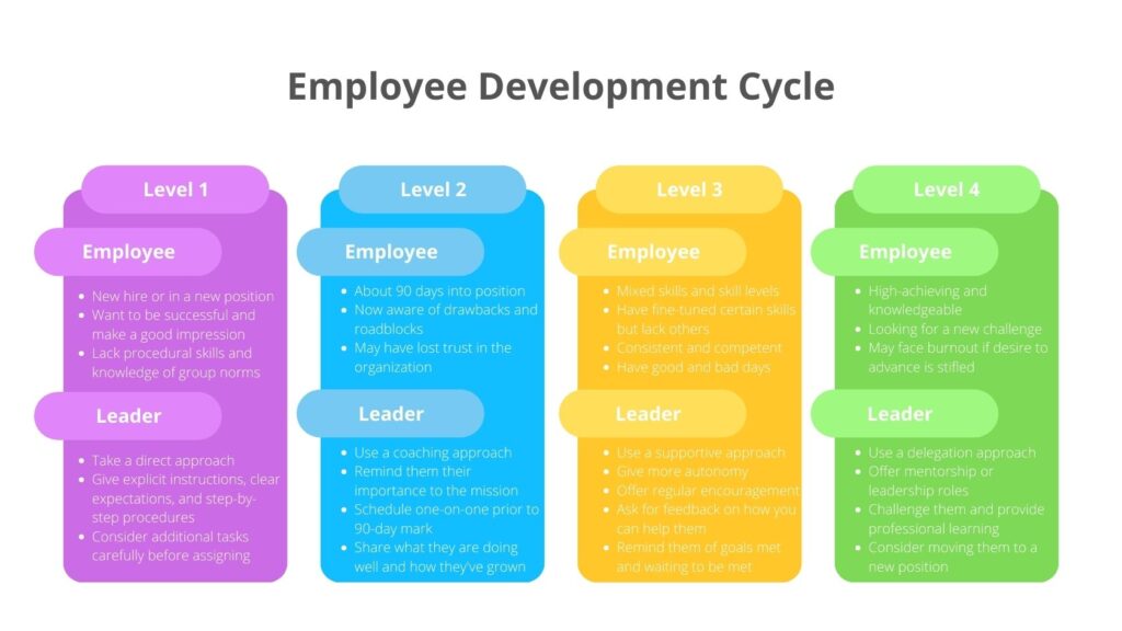 Infographic of the employee development cycle outlined in the article