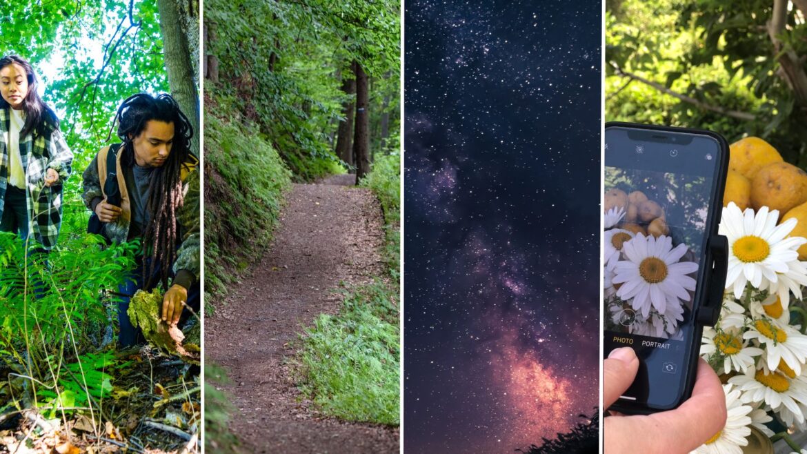 From-Geocaching-to-Stargazing-Summer-Activities-for-Teens Four images are shown side by side of people geocaching, a hiking trail, stars, and a phone taking a photograph. These are examples of summer activities.
