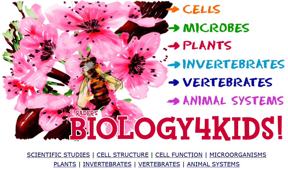 Image showing Biology4Kids topics