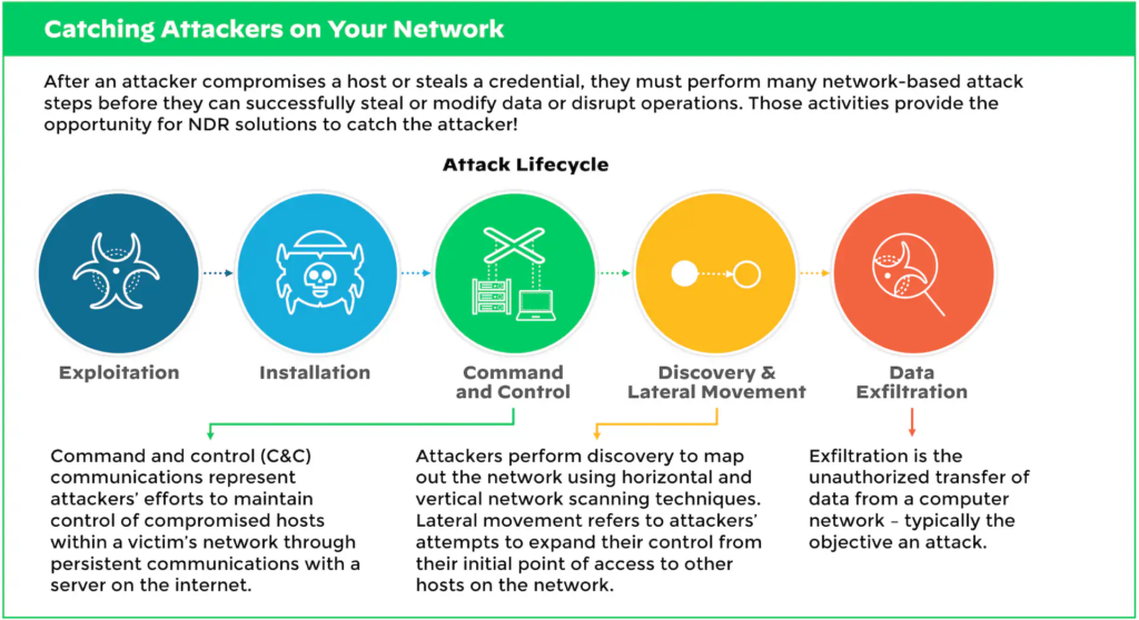 Cybersecurity Infographic "Catching Attackers on Your Network"