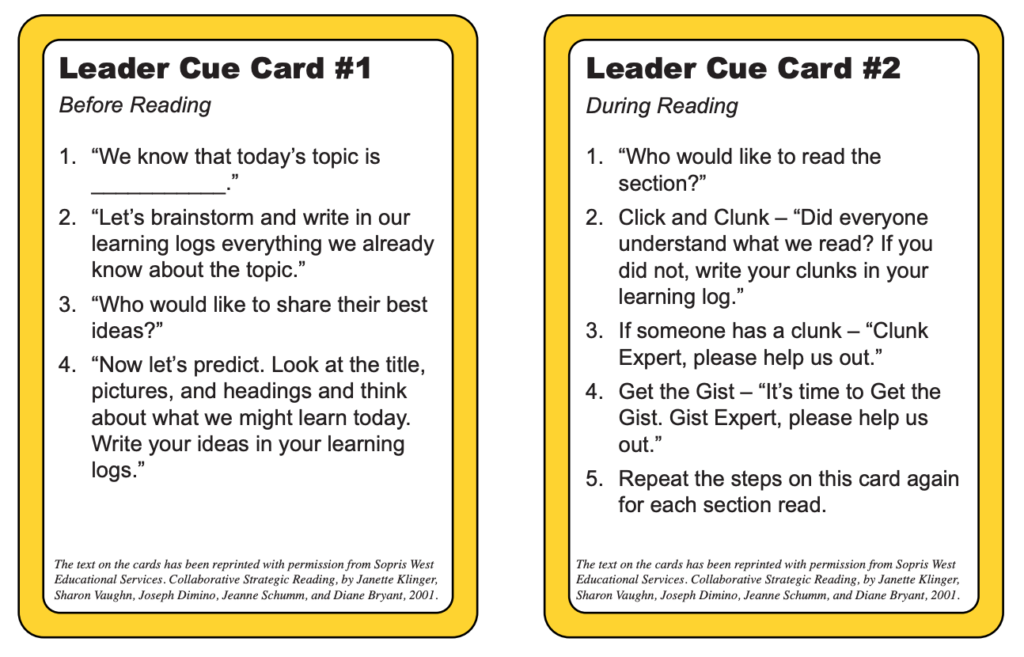 IRIS Center Leader Cue Card for CSR tasks