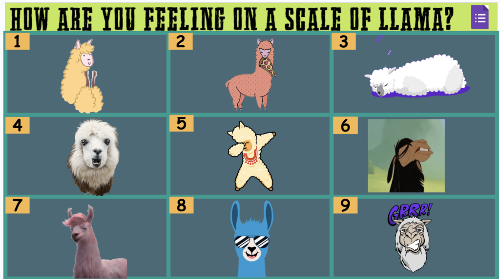 Llamas representing different emotions for an SEL check-in activity.