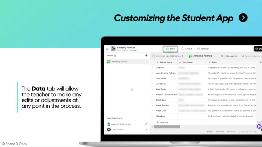 Slide outlining the Data tab function when developing an app in Glide.