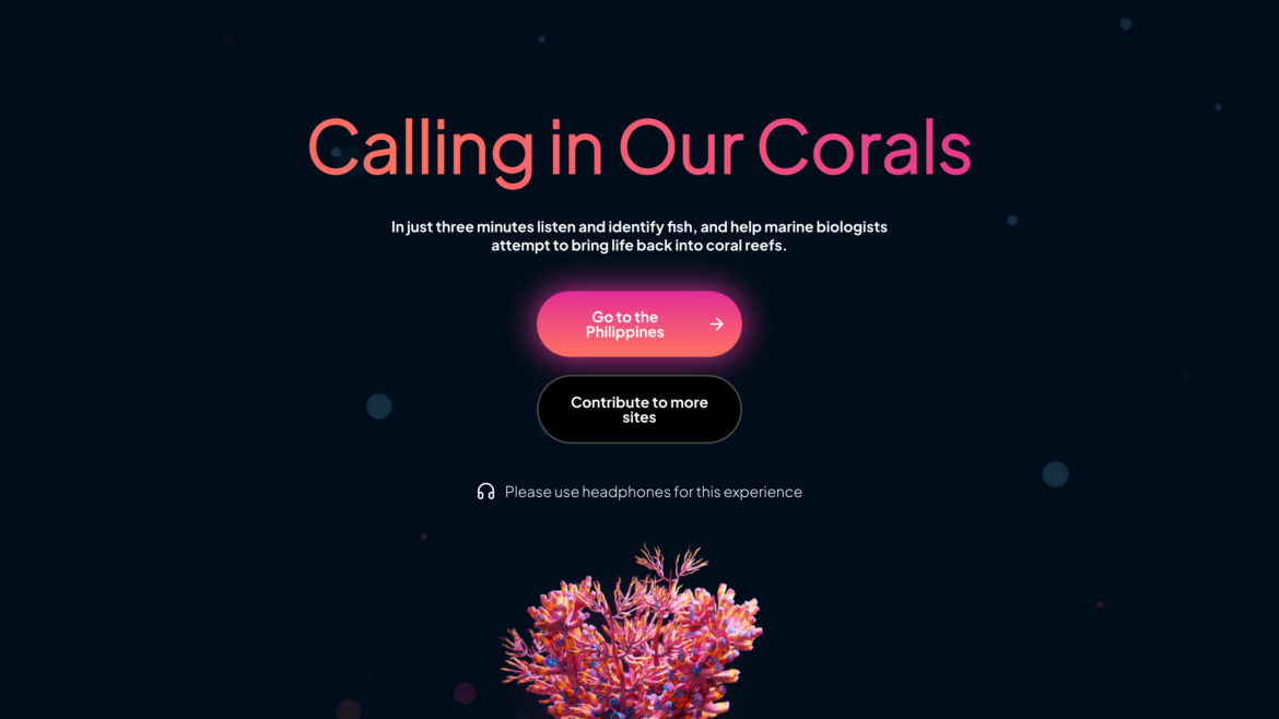 Corals coral reef