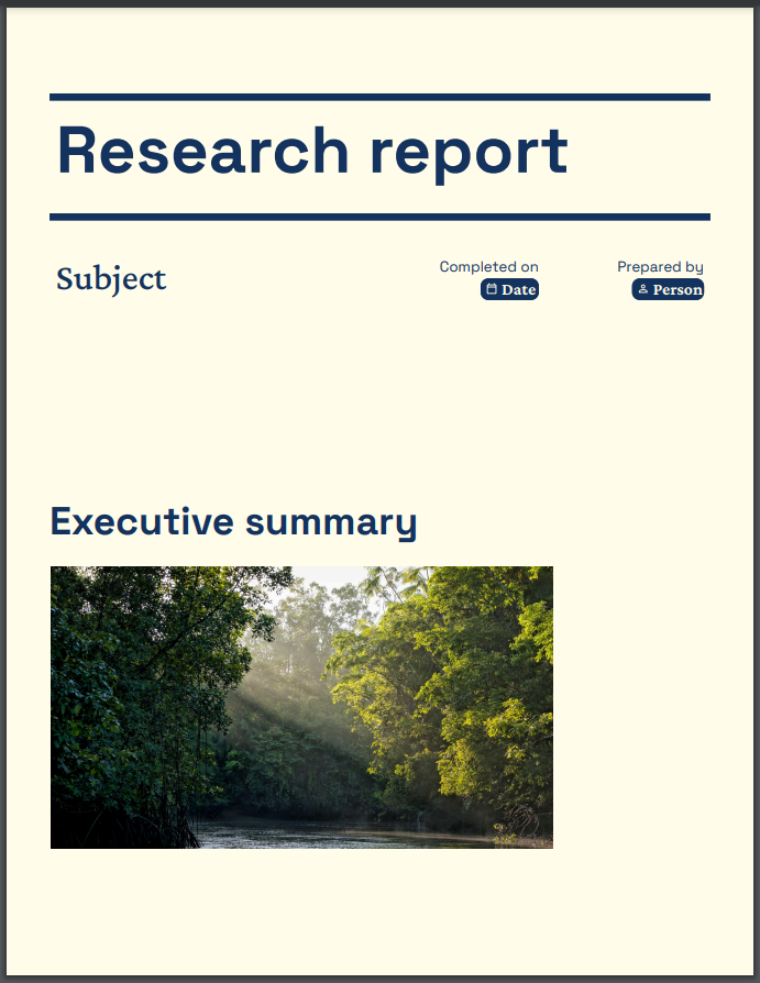 Image of the research report template.