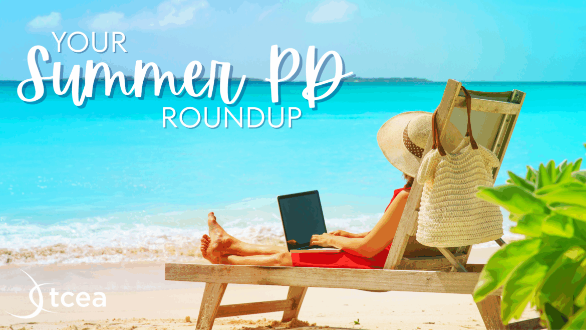 Summer PD A woman is sitting in a beach chair by the ocean, holding a laptop.