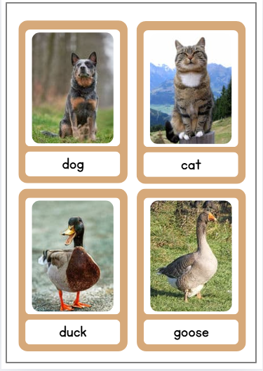 Four animal flashcards featuring a dog, cat, duck, and goose, each with a photo and corresponding label beneath it.