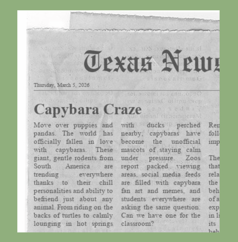 Fodey newspaper headline example on the Capybara Craze